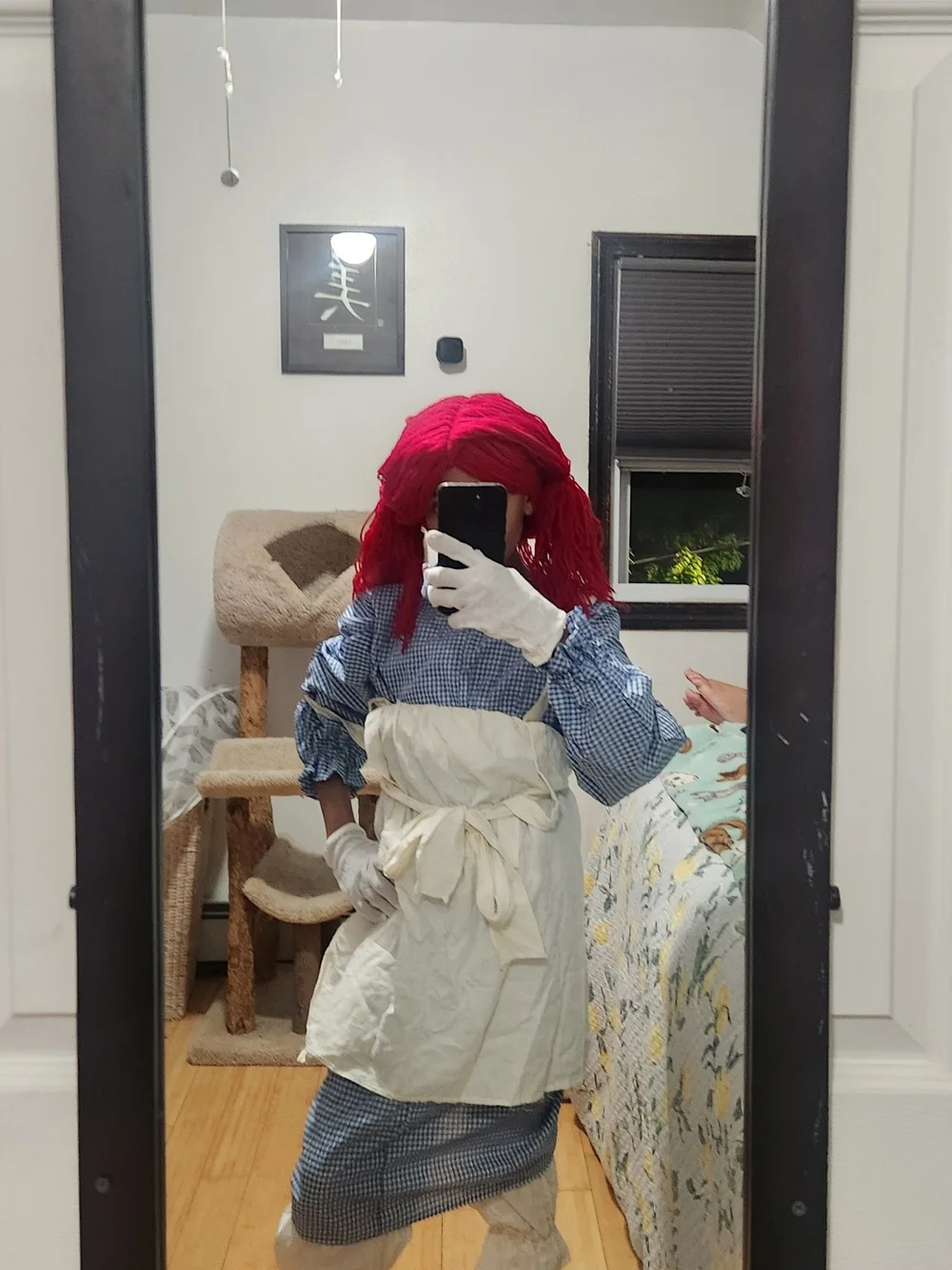 Adult/teen RAGGETY ANN Doll Check Dress Costume with White Apron